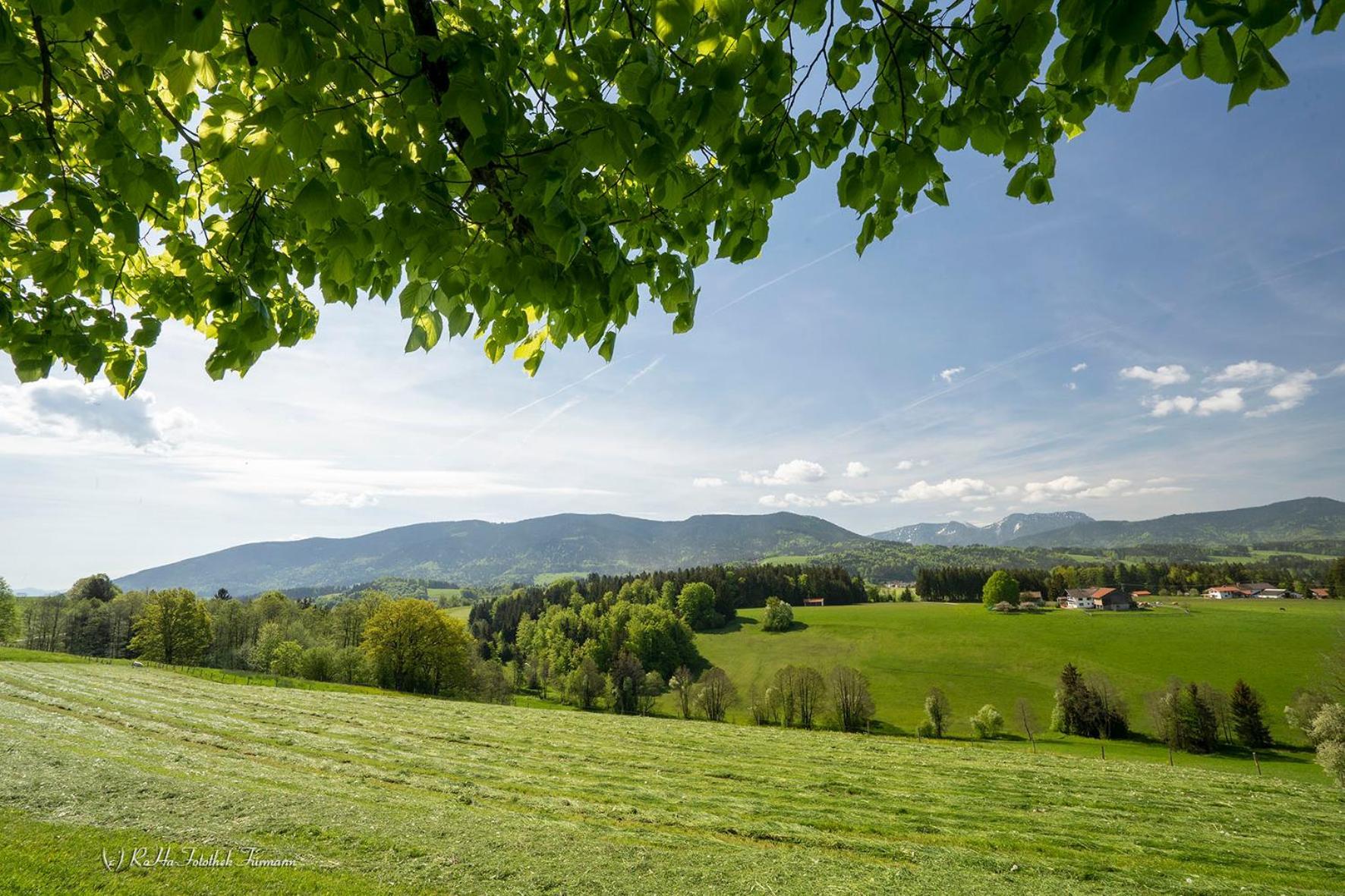 Monteurzimmer Am Teisenberg Neukirchen am Teisenberg ภายนอก รูปภาพ